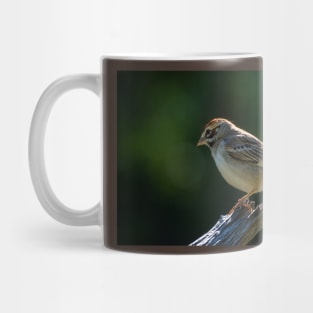 Lark Sparrow Early Morning Mug